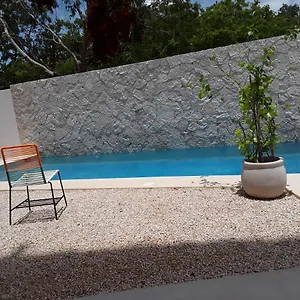 https://posada-tumben-kaa.quintano-roohotels.com