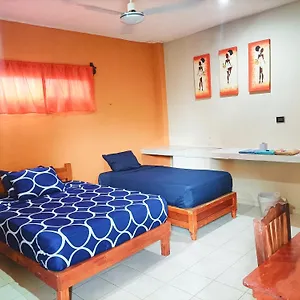 https://el-ultimo-maya-akumal.quintano-roohotels.com